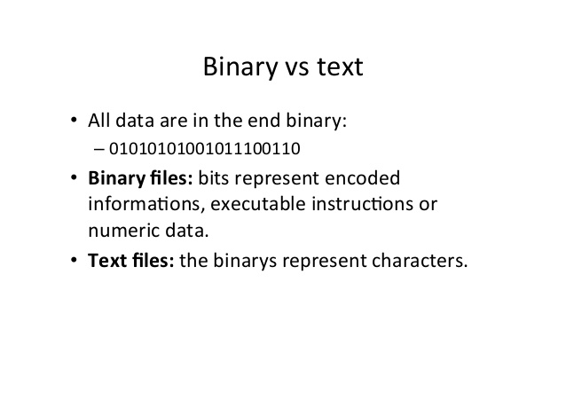 java read binary file